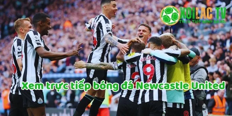 Top 5 đội đá đẹp mắt nhất Ngoại hạng Anh mùa giải 2024/25 6 Xem bóng đá trực tiếp Newcastle United